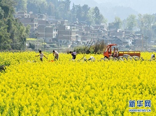 文化和旅游部：“五一”假期游客应配合做好疫情防控工作