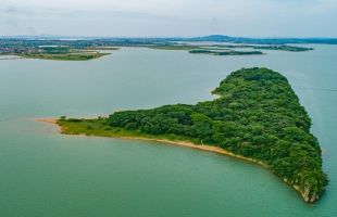 鄱阳湖湿地公园