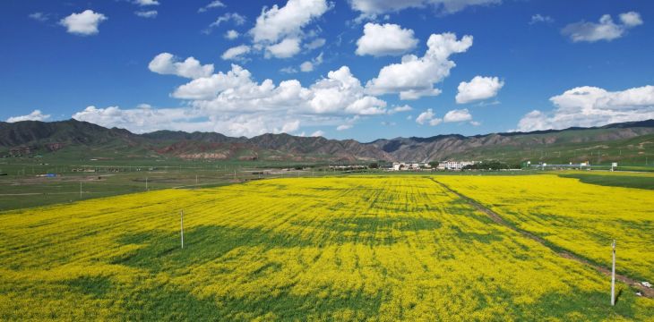 频出“清凉招” 带旺避暑游