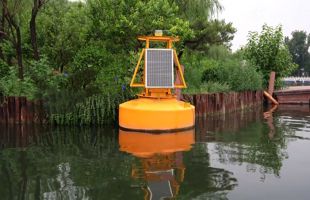 “鱼脸识别” 水环境监测用上AI“电子眼”