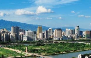 浙江省首个！瑞安市CCER造林碳汇项目在全国公示