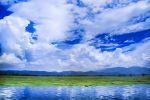 洱海，成为生物栖息的乐园