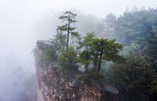 湖南“湘林碳票”成交超316万元