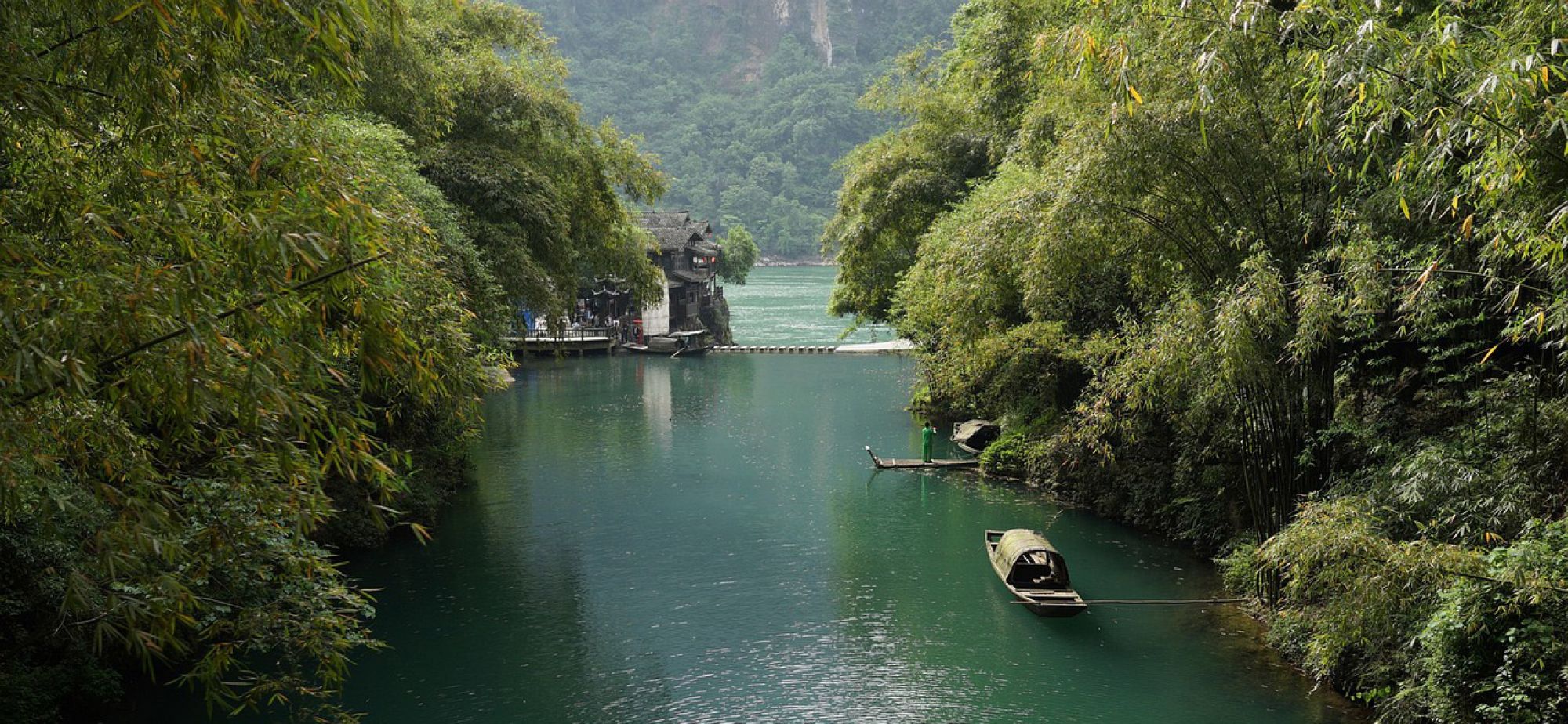 水生生物资源总体恢复向好 珍稀濒危物种保护依然严峻