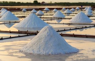 广期所再度出手“降温”三大品种 碳酸锂期货主力跌6% 工业硅、多晶硅双双下跌