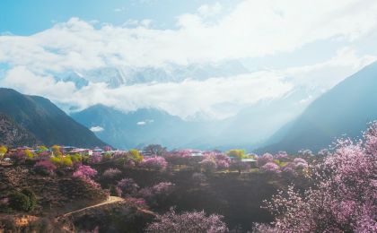 世界屋脊上的民生答卷