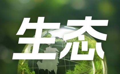 用法治为生态文明建设保驾护航