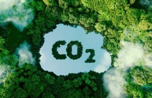 中国低碳指数报5709.54点，前十大权重包含比亚迪股份等