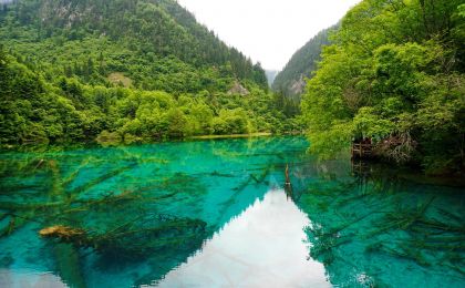 “爱护绿水青山 倡导无痕旅游”倡议发布