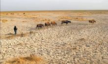 报告显示全球40%地区面临干旱问题，每年经济损失高达3070亿美元