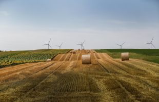 农业种养废弃物资源化利用的瓶颈与路径、调查与思考