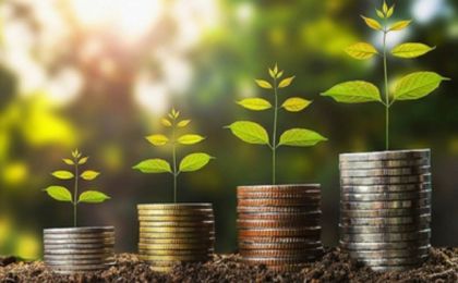 绿色金融如何帮助企业成功穿越全球碳治理变革周期