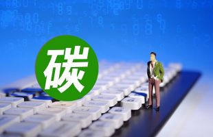 复旦大学陈诗一：中国碳信用质量实现显著提升 具备参与全球碳信用互认基础