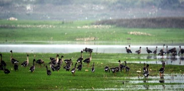 加强湿地保护法规建设 湖南拟修订湿地保护条例