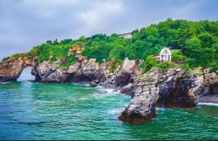 《全球滨海生态系统状况报告》发布