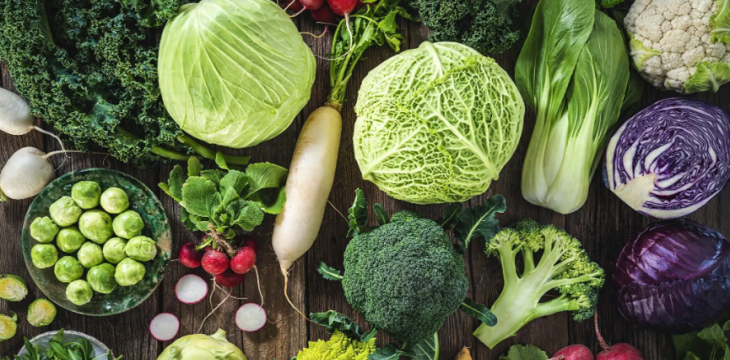 辽宁沈阳：信用公开让“菜篮子”更安全