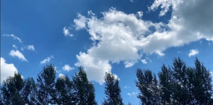 吉林省吉林市：小绥河村奏出“金色交响”