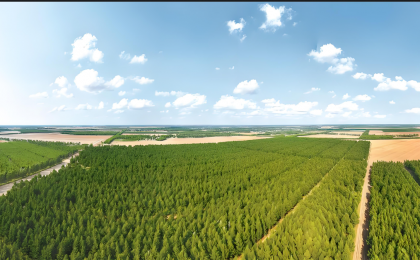 分享防沙治沙经验 助力全球绿色发展