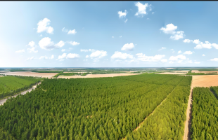 分享防沙治沙经验 助力全球绿色发展