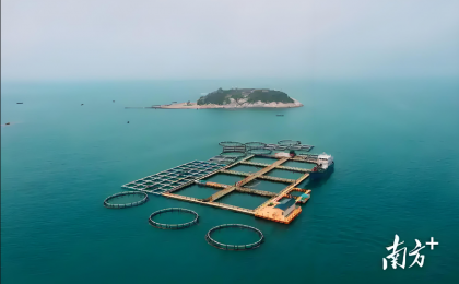 坚持系统观念 提升治理效能  立体开展海洋生态环境治理