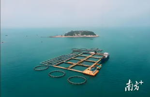 坚持系统观念 提升治理效能  立体开展海洋生态环境治理