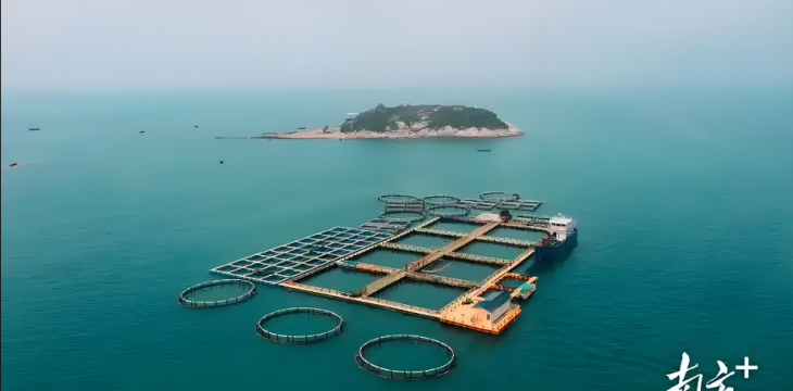 坚持系统观念 提升治理效能  立体开展海洋生态环境治理