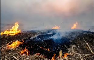 破秸秆禁烧困局：少设“路障”多立“路标”