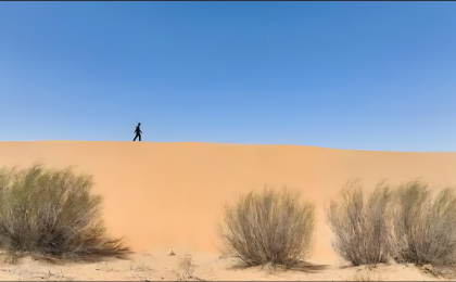 决胜“十四五” | 实现“绿进沙退”的历史性转变