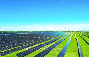 多地零碳园区建设提速 中小企业探索破解高成本难题