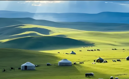 多名男女在呼伦贝尔大草原抛纸片？