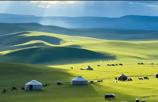 多名男女在呼伦贝尔大草原抛纸片