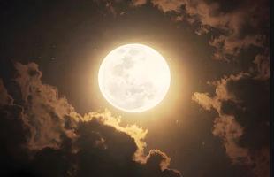 月球水从何而来？嫦娥六号月壤发现新线索