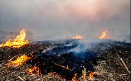 “土办法”助力防范农村露天焚烧
