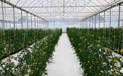 以设施农业为名非法采矿、整改弄虚作假……14个典型问题被通报？