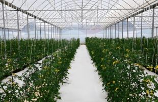 以设施农业为名非法采矿、整改弄虚作假……14个典型问题被通报