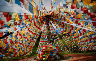 青春视角激活西藏文旅新魅力