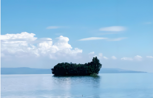 韵动又极简！初冬南滇池水墨滤镜拉满