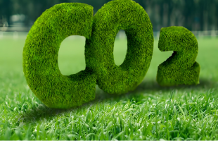 中国碳市场发展经验在贝伦气候大会受关注  