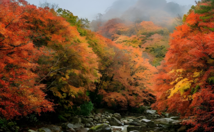 航拍深秋天目山 宛如画境
