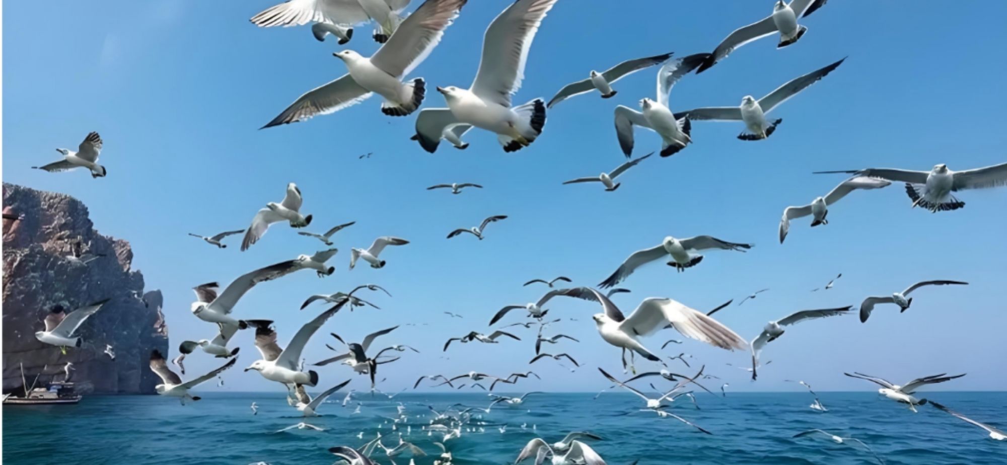 风物旅行或成入境游新支点