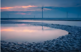  “寻鲜”游让游客“走进来、留下来”   