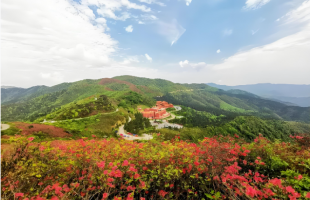 一本“绿色账” 群众展笑颜  