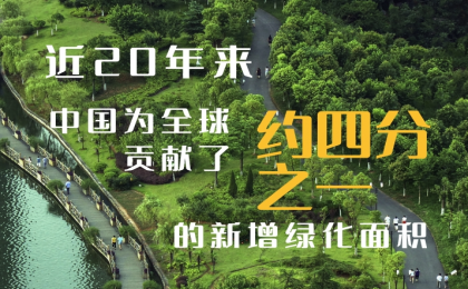 看这抹绿何以赏“新”又悦目  