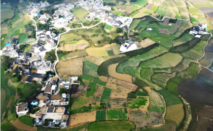 “贵”字号农产品何以走俏全国？   