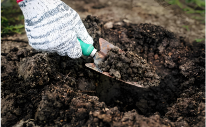 “毒营养土”背后的监管漏洞必须堵上  