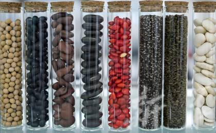 国家重要野生植物种质资源库辰山中心——    1亿粒种子，这样“备份”   