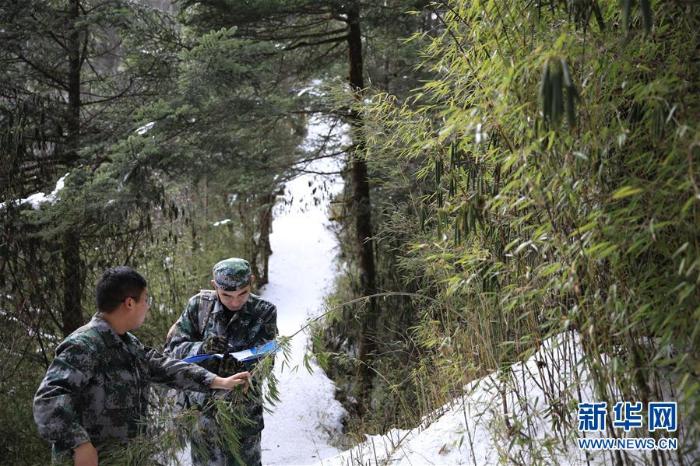 20191223155125541897884_1.jpg 20191223155125541897884_1.jpg