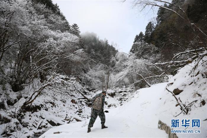 20191223155239871114445_1.jpg 20191223155239871114445_1.jpg