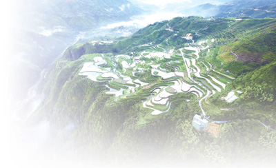 春耕.jpg 春耕.jpg