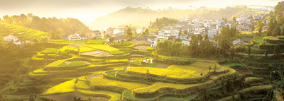 秋收.jpg 秋收.jpg